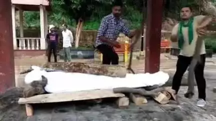 इटावा: मैनपुरी जिले में घायल अवस्था में मिले अज्ञात व्यक्ति ने सैफई पीजीआई में इलाज के दौरान तोड़ा दम, पुलिस ने कराया पीएम