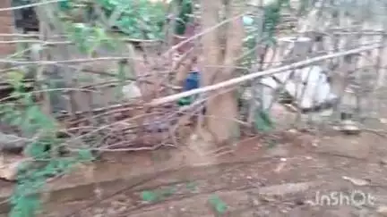 साकोली: साकोलीतील वार्ड क्र.10मध्ये आमराईतील नागरिक घरकुल रस्ते नाल्या लाईट पाणी अंगणवाडी या सोयींपासून वंचित #Jansamasya