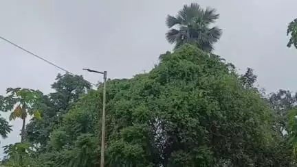 हज़ारीबाग: उपायुक्त ने बारिश और ओलावृष्टि को लेकर अधिकारियों को अलर्ट रहने के निर्देश दिए