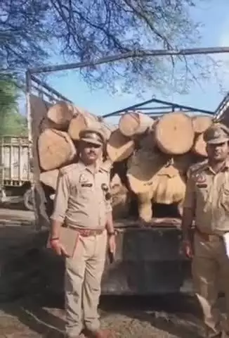 नवाबगंज: नहामऊ गांव में सरकारी ज़मीन से 11 कीमती पेड़ चोरी, दो गिरफ्तार; विधायक के रिश्तेदार की आरा मशीन पर मिला माल