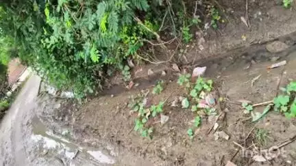 खलीलाबाद: चीलौना गांव के युवक मोनू यादव ने गांव में साफ-सफाई की मांग को लेकर जिला पंचायत राज्य अधिकारी को दिया पत्र