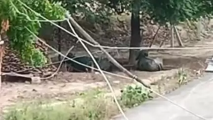 रानीगंज: जरियारी गांव में टूटे विद्युत पोल और जर्जर विद्युत तार के सहारे की जा रही आपूर्ति, दुर्घटना को दे रहा है दावत