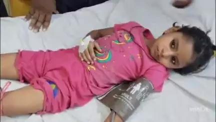 छिबरामऊ: हृदय रामपुर की 6 वर्ष की बच्ची को जहरीले कीड़े के काटने से हालत बिगड़ी, कराया भर्ती
