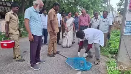 அரக்கோணம்: அரக்கோணம் நகராட்சிக்குட்பட்ட பகுதிகளில் தெரு நாய்களுக்கு தடுப்பூசி செலுத்தும் பணியினை நகர மன்ற தலைவர் நேரில் ஆய்வு