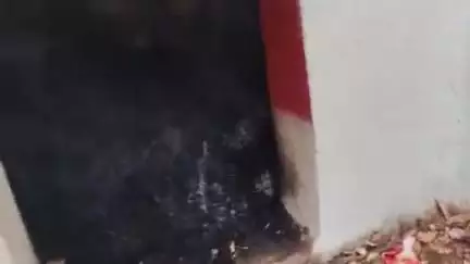 जयसिंहनगर: डोमहार में अज्ञात कारणों के चलते एक घर में लगी आग, जलकर ख़ाक हुआ घर में रखा सारा सामान
