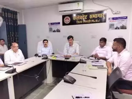 निवाड़ी: कलेक्टर कार्यालय में समय सीमा की बैठक का हुआ आयोजन, कलेक्टर लोकेश जांगिड़ रहे मौजूद
