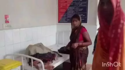 विद्यापति नगर: बड़गांव में आवारा कुत्तों का आतंक, बच्ची को काटकर किया घायल
