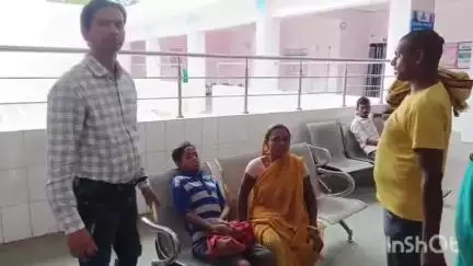 हसनपुर: झहुरी में जामुन तोड़ते समय पेड़ से गिरने से किशोर गंभीर रूप से घायल