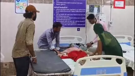 नीमच नगर: बांगरेड निवासी महिला को खेत पर कार्य करते समय ज़हरीले सांप ने काटा, जिला अस्पताल में उपचार जारी