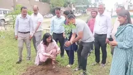नाहन: अंतरराष्ट्रीय योग दिवस से पूर्व आयुष विभाग ने नाहन के विभिन्न स्थानों पर किया पौधारोपण