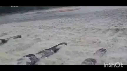 বরজোড়া: বড়জোড়া এলাকার দুর্গাপুর ব্যারেজ থেকে প্রায় 43750 কিউসেক জল ছাড়ল DVC