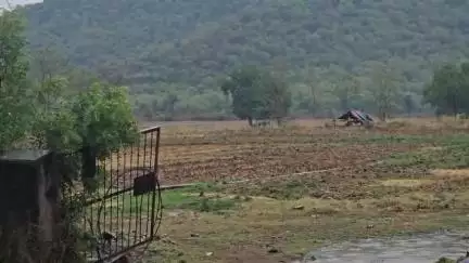 भदेसर: भदेसर क्षेत्र में आसावरा की ढ़ाणी में फिर गूंजी पैंथर की दहाड़, ग्रामीणों में दहशत, वन विभाग ने बढ़ाई गश्त