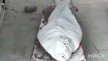 गभाना: गभाना में तेज रफ्तार बाइक अनियंत्रित होकर डिवाइडर से टकराई, हादसे में महिला की मौत, परिजनों ने नहीं कराया PM