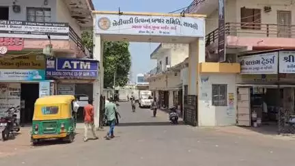 સાવલી: એપીએમસી ખાતે વિકાસના સંકલ્પ સાથે ઉજવાયો મોદી સરકારના 11 વર્ષની સફરનો ઉત્સવ
