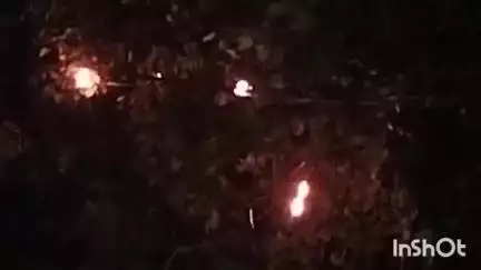 जमुई: ख़ैरा मोड़ के पास शॉर्ट सर्किट से बिजली तार में लगी आग, बड़ा हादसा टला, विद्युत आपूर्ति हुई बाधित