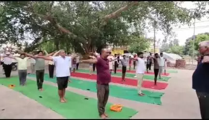 आप सभी को अंतरराष्ट्रीय योग दिवस की हार्दिक शुभकामनाएं 🙏 💐 🎊 🌹 🤝 ❤️ 2025
करें योग रहें निरोग
Health is wealth
