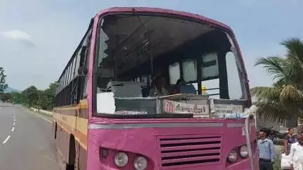 திருப்பத்தூர்: புரத்தார் வட்டம் பகுதியில் அரசு பேருந்து மீது டிப்பர் லாரி மோதி விபத்து- அதிர்ஷ்டவசமாக உயிர் தப்பிய பயணிகள்