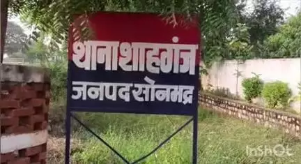घोरावल: बरौली गांव में अनियंत्रित होकर पलटा ऑटो, एक युवक की हुई मौत