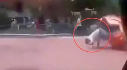 महाराष्ट्र के सोलापुर में वॉटर पार्क में तेज़ रफ्तार में घूमता झूला टूटकर गिरा, एक की मौत व कई घायल