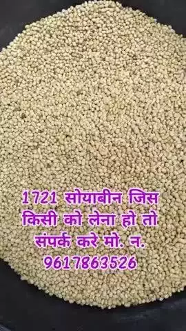 सोयाबीन लेने के लिए संपर्क करें