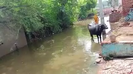 खेरागढ़: आदर्श नगर पंचायत खेरागढ़, आगरा #kheragarh #news.kheragarh