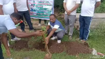 ଲକ୍ଷ୍ମୀପୁର: ନାରାୟଣପାଟଣା ବ୍ଲକର ବିଭିନ୍ନ ପଞ୍ଚାୟତରେ ବ୍ଲକ ପ୍ରଶାସନ ତରଫରୁ ବୃକ୍ଷ ରୋପଣ କାର୍ଯ୍ୟକ୍ରମ ଅନୁଷ୍ଠିତ