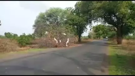 एरंडोल: खडकी गावाच्या फाट्याच्या पुढे असलेल्या हॉटेल गुरुकृपा समोर दुचाकीला दुचाकीची धडक,एक जखमी,मेहुणबारे पोलिसात गुन्हा दाखल