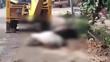 सिकंदरा: सिकंदरा कस्बे में विद्युत पोल में उतरे करंट की चपेट में आने से दो गौवंशों की हुई मौत, नगर पंचायत कर्मचारियों ने किया दफन