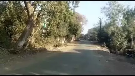 बोदवड: विवरे खुर्द येथून २३ वर्षीय महिला झाली बेपत्ता, निंभोरा पोलीस ठाण्यात नोंदवण्यात आली हरवल्याची तक्रार