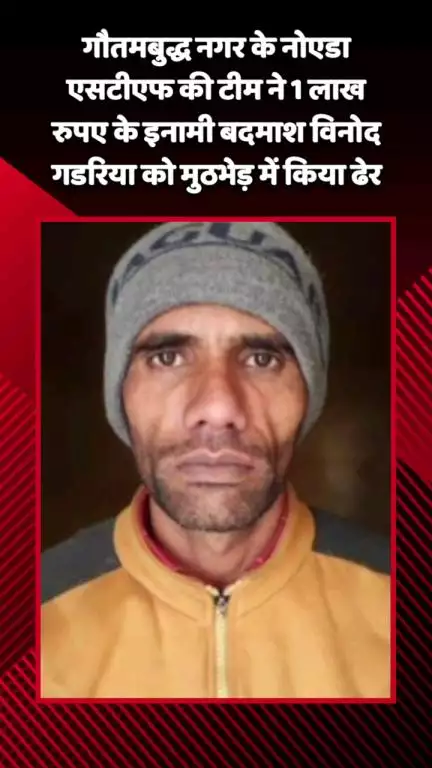 गौतम बुद्ध नगर: गौतमबुद्ध नगर के नोएडा में एसटीएफ की टीम ने 1 लाख रुपए के इनामी बदमाश विनोद गडरिया को मुठभेड़ में ढेर किया