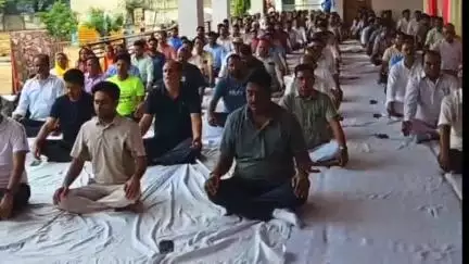 लालसोट: अंतर्राष्ट्रीय योग दिवस पर लालसोट में उपखण्ड स्तरीय कार्यक्रम में विधायक, प्रशासनिक अधिकारी और कर्मचारी ने लिया भाग
