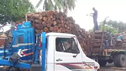 തൃശൂർ: മുളങ്കുന്നത്തുകാവ് അമ്പലനടയിൽ കാറും തടിലോറിയും കൂട്ടിയിടിച്ച് ഒരാൾക്ക് പരിക്ക്