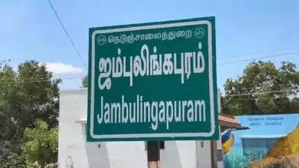 ஜம்புலிங்கபுரத்தில் தவெக சார்பில் பனை விதைகள் நடும் விழா
