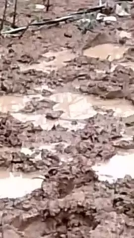 गढचपा गांव में गाडाकछार रोड में बिजली की तार कट कर गिर गई है माननीय बिजली विभाग से अनुरोध है कि बिजली की तार का समाधान