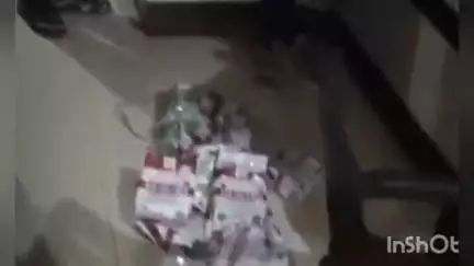 दर्यापूर: बनोसा येथील एकाच कृषी केंद्रावर दोन वेळा कृषी विभागाची धडक कारवाई, प्रतिबंधित बियाणे जप्त
