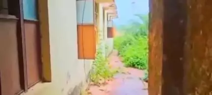 किरनापुर: गंदगी में डूबा नगर मुख्यालय स्थित SDM कार्यालय, दीवारों पर सिर्फ पेंट, सफाई और शौचालय की हालत बदतर