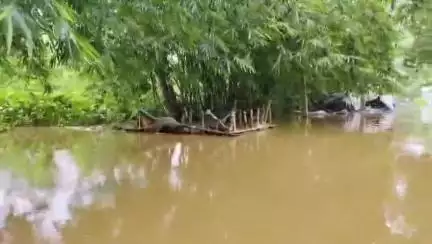 ଜଳେଶ୍ବର: ବିପଦ ସଙ୍କେତ ଉପରେ ସୁବର୍ଣ୍ଣରେଖାର ଜଳସ୍ତର,ରାଜଘାଟରେ ବିପଦ ସଙ୍କେତ ଟପିଲା ସୁବର୍ଣ୍ଣରେଖା, ବନ୍ୟା ଜଳ ପ୍ରବାହିତ