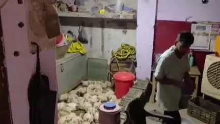 गोरखपुर: 23 जून से शहर में मुर्गों की बिक्री होगी शुरू, संक्रमित इलाके में फिर से होगी जांच