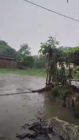 JARANG baluaha ke 
Muzaffarpur Bihar