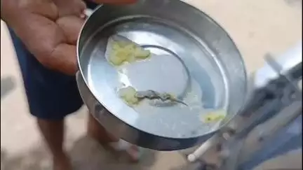 মেমারি ১: মেমারিতে অঙ্গনওয়াড়ির খিচুড়িতে টিকটিকি !