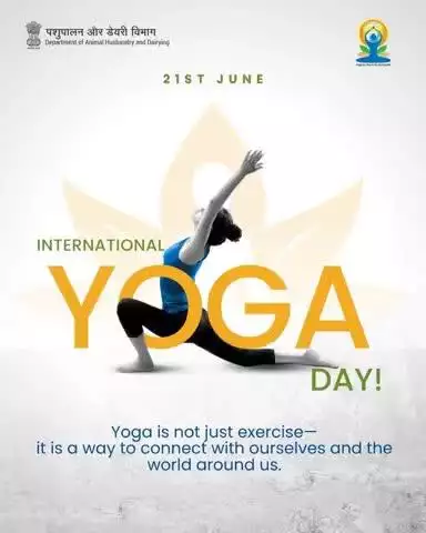 International Yoga Day |
Yoga is not just a form of exercise—
It's a journey of self-discovery, balance, and harmony with the world around us.
This #InternationalYogaDay, let’s embrace yoga as a way to nurture both body and mind.