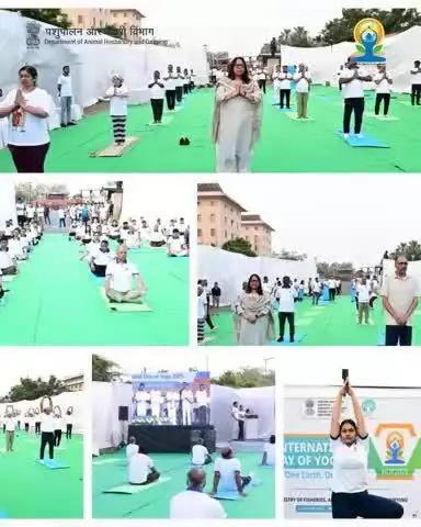 The Ministry of Fisheries, Animal Husbandry & Dairying, Government of India, celebrated the 11th International Day of Yoga with great enthusiasm at krishi Bhawan, New Delhi.