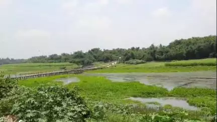 তেহট্ট ১: জলঙ্গি নদী মিষ্টি জল নিয়ে যাওয়া হবে সুন্দরবনে, জলঙ্গী নদী সংস্কারের সমীক্ষা,খুশি এলাকার বাসিন্দারা #jansamasya
