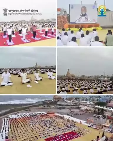 Shri Himanjay Paliwal, Chairman, Gujarat Rajya Sanskrit Board, graced the IDY 2025 celebrations at Somnath as the Chief Guest. He was joined by Shri Jagat Hazarika, Advisor (Statistics) & DAHD officials.