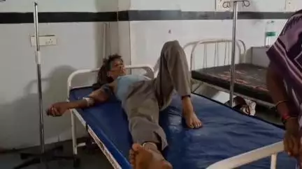 छतरपुर नगर: ग्राम बगौता में खेत पर एक व्यक्ति को ज़हरीले सांप ने काटा, जिला अस्पताल में उपचार जारी
