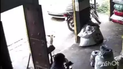 हापुड़: गांव दोयमी में बुजुर्ग को सांड ने मारी टक्कर, घटना का CCTV वीडियो आया सामने