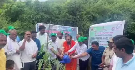 ಮುಂಡರಗಿ: ಕಪ್ಪತ್ತಗುಡ್ಡದಲ್ಲಿ ಸಸಿ ನೆಟ್ಟು ವಿಶ್ವ ಅರಣ್ಯ ದಿನಾಚರಣೆ ಆಚರಿಸಿದ ಶಾಸಕ ಡಾ. ಚಂದ್ರು ಲಮಾಣಿ