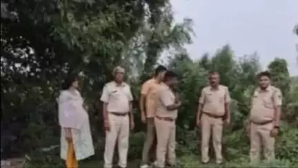 टोंक: घाड़ थाना पुलिस ने अवैध मादक पदार्थ गांजा के 40 पौधे, वजन 15 किलोग्राम 35 ग्राम किया ज़ब्त