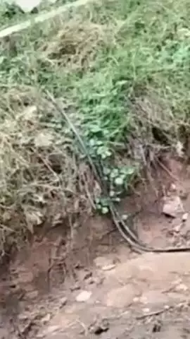 फुलेरा मु. सांभर: कालाडेरा थाना इलाके के विमलपुरा गांव में किसान के खेत से बोरिंग की विद्युत केबल चोरी, सूचना पर पुलिस मौके पर पहुंची