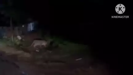 खेड: कडूस येथे बिबट्याचा वावर; नागरिकांत दहशत
